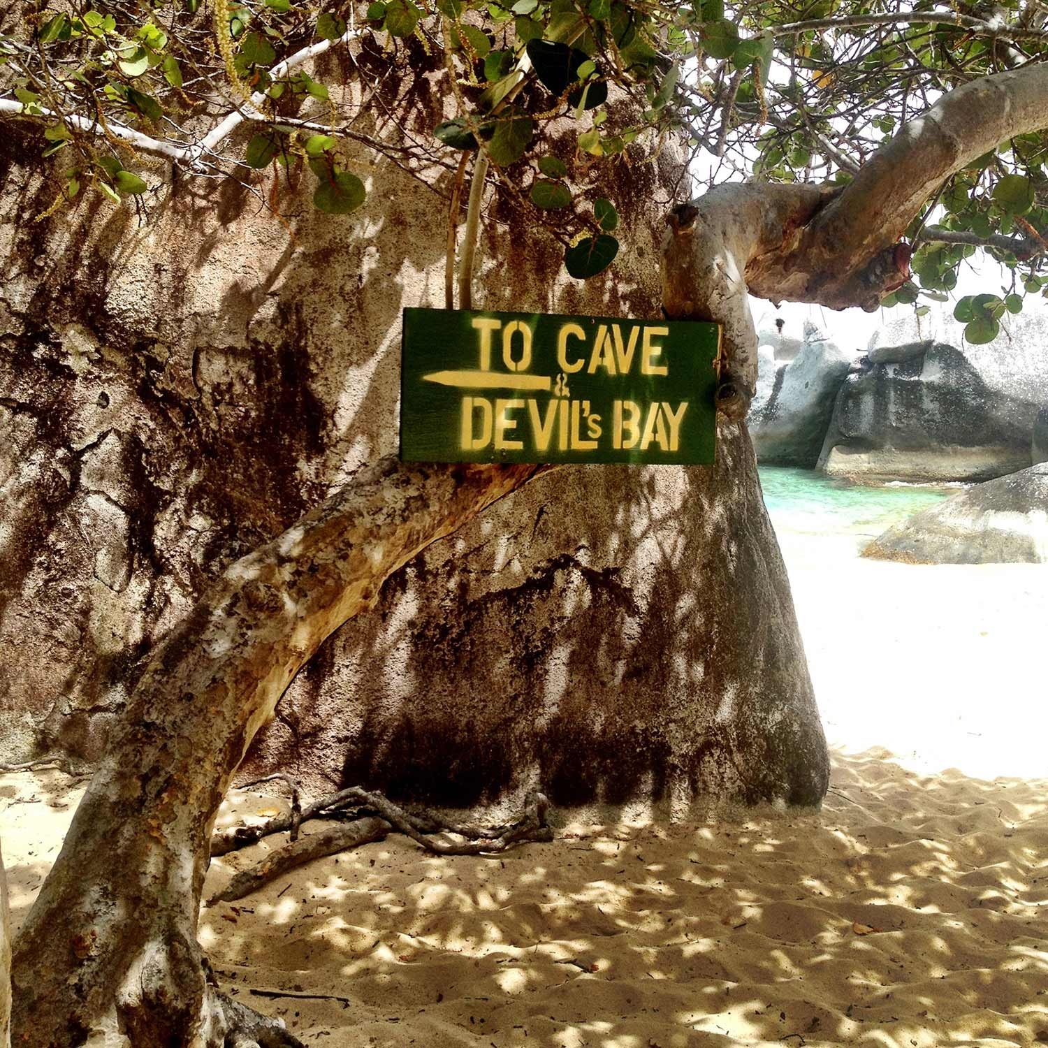 Trees and rocks along the beach with a sign reading 'To Cave and Devils Bay' with an arrow pointing left 