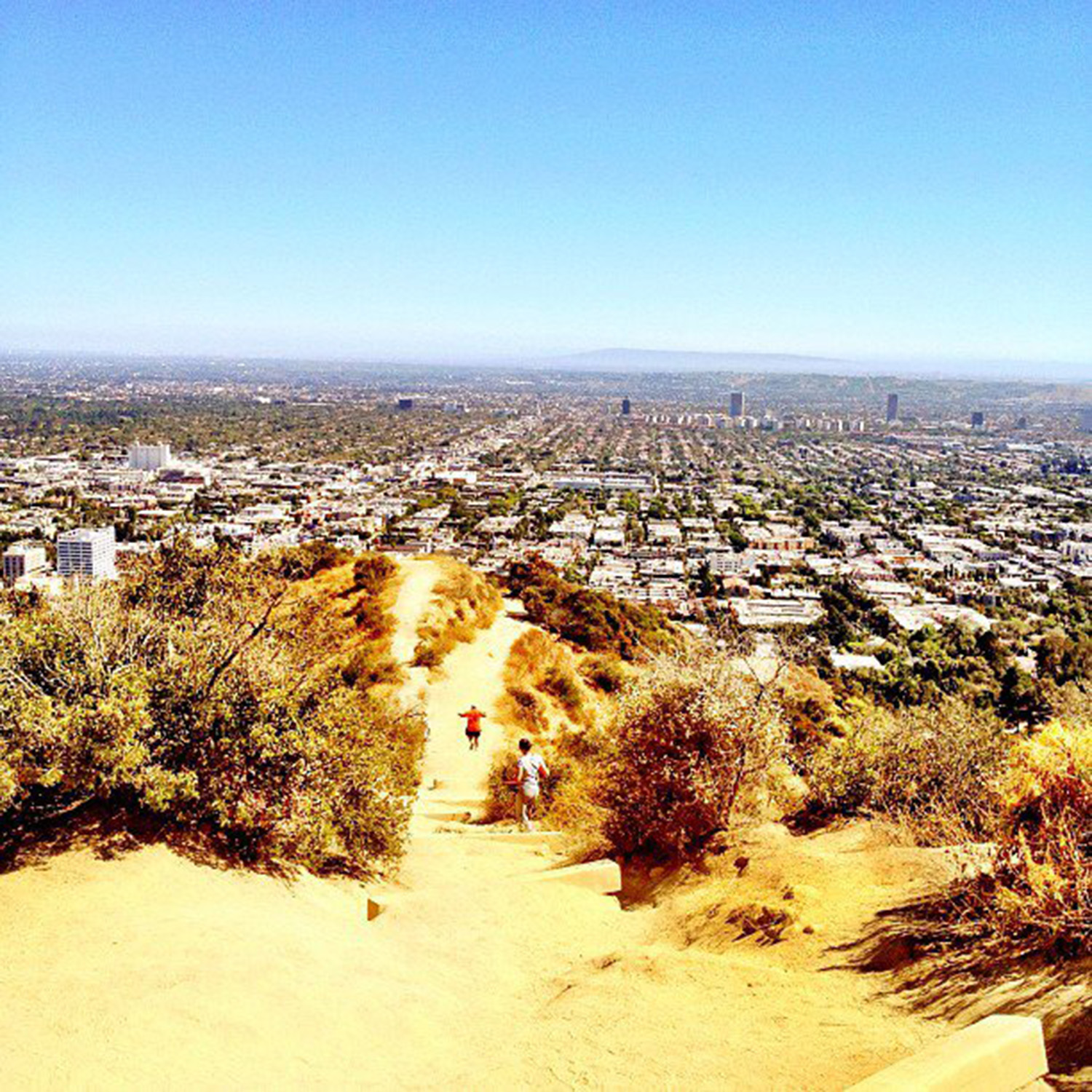 The view of LA from the top of Runyon Canyon 