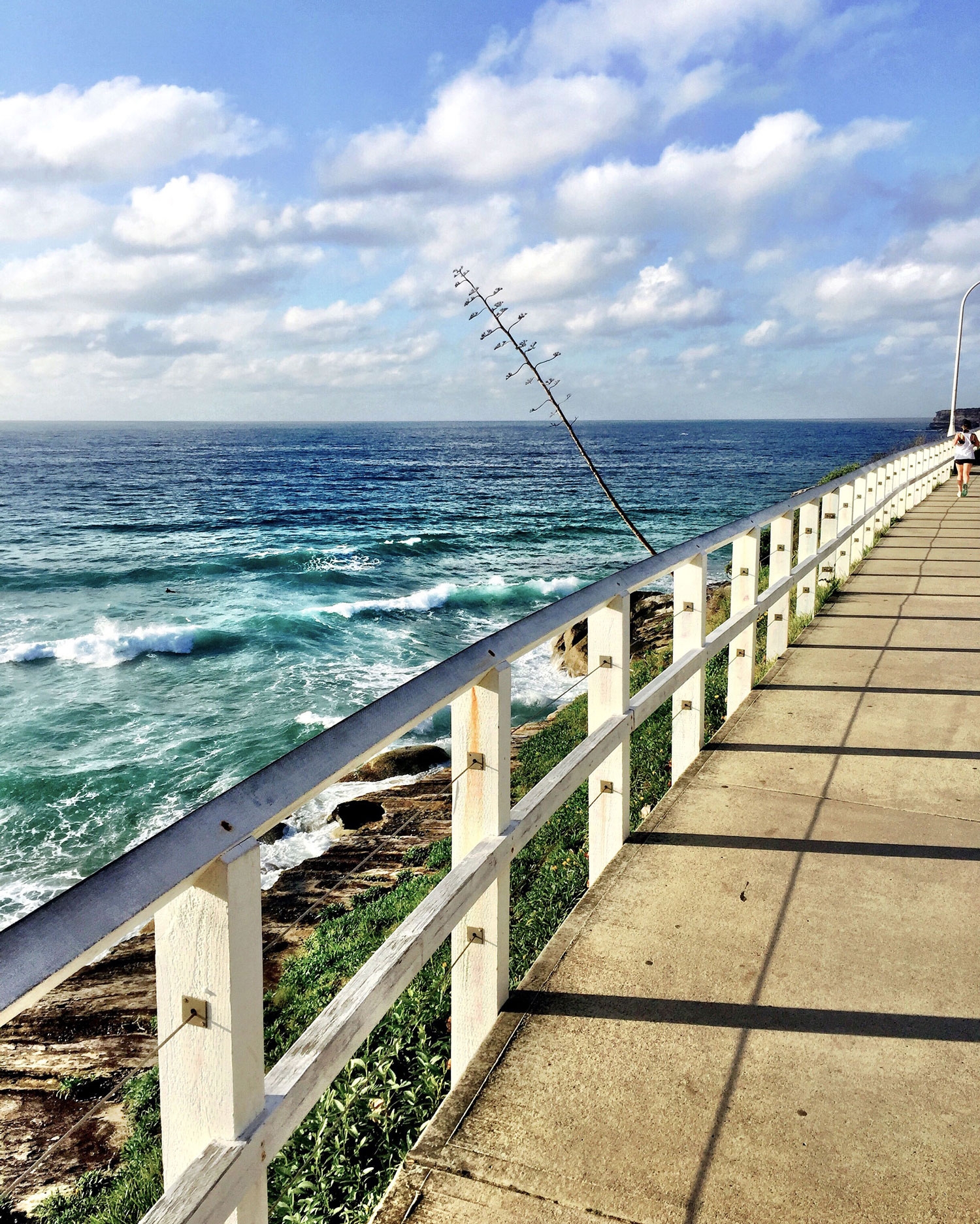 A view of the ocean on the Bondi to Bronte walk, April 2016 