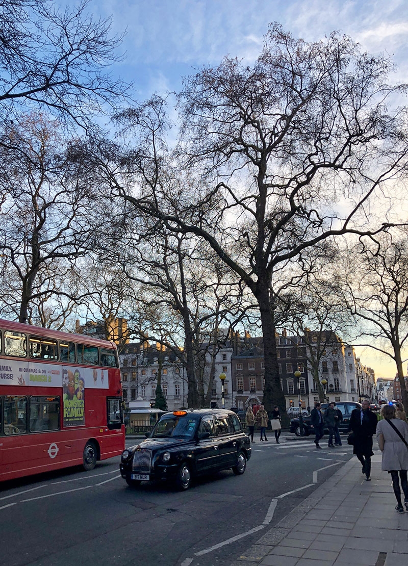 A crisp Spring morning in London. March 2018