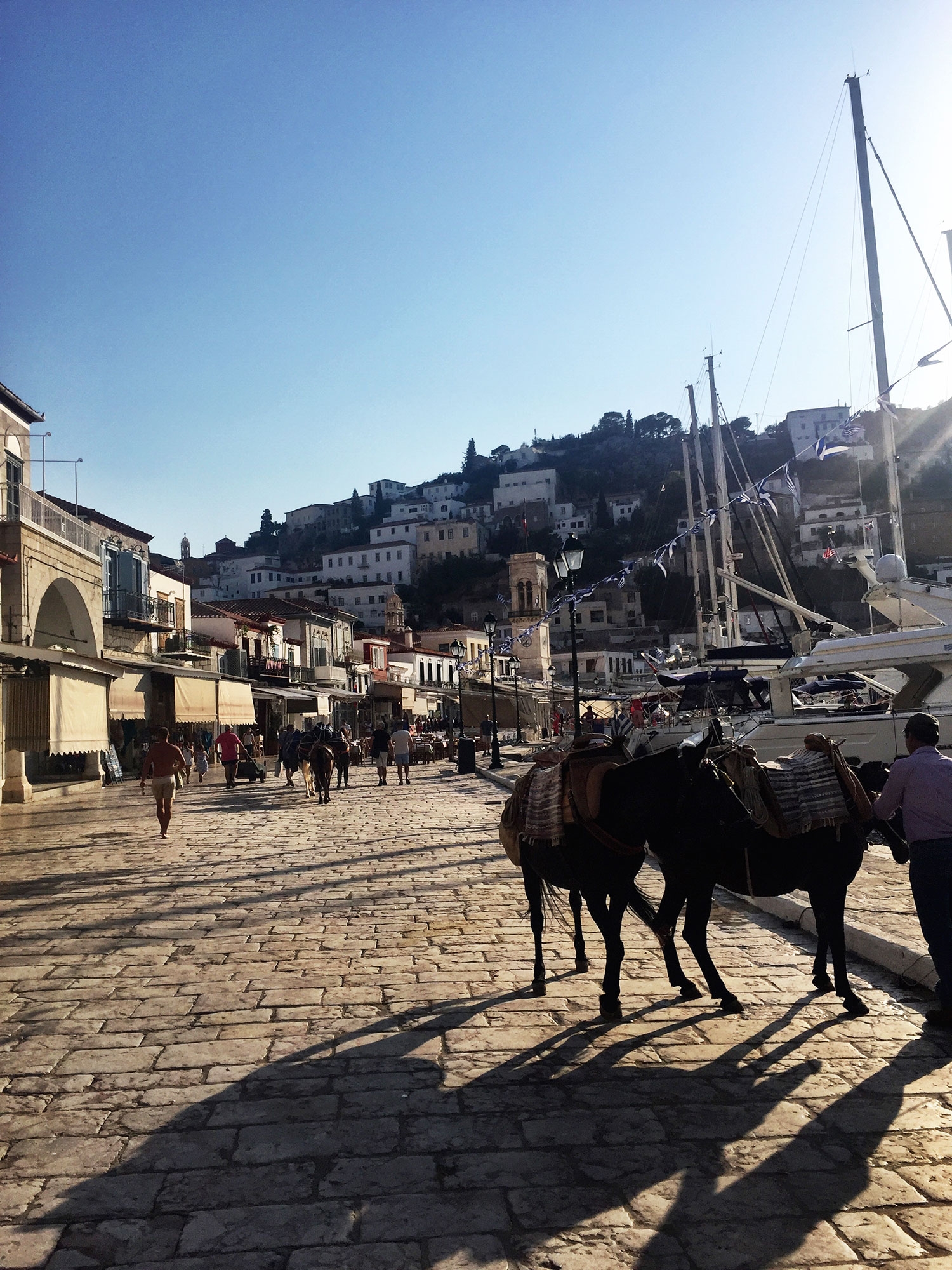 Groups walking along The Port next to docked boats and saddled donkeys 